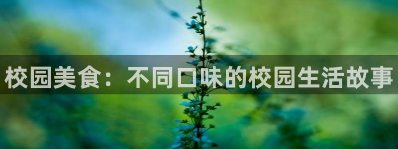 黑料曝光完整时间线