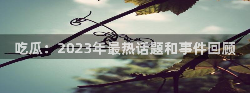 黑料揭秘完整时间线