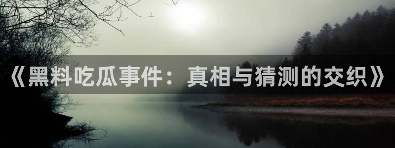 黑料事件始末