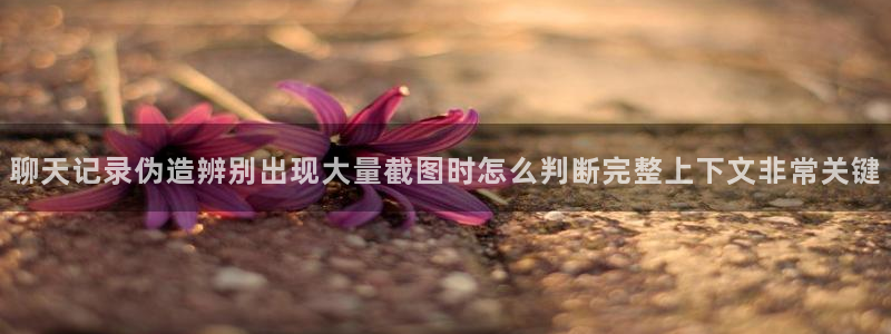 黑料事件证据梳理