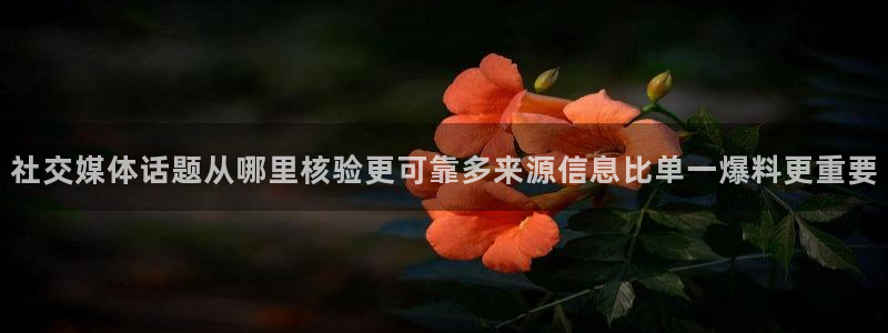网络黑料完整时间线