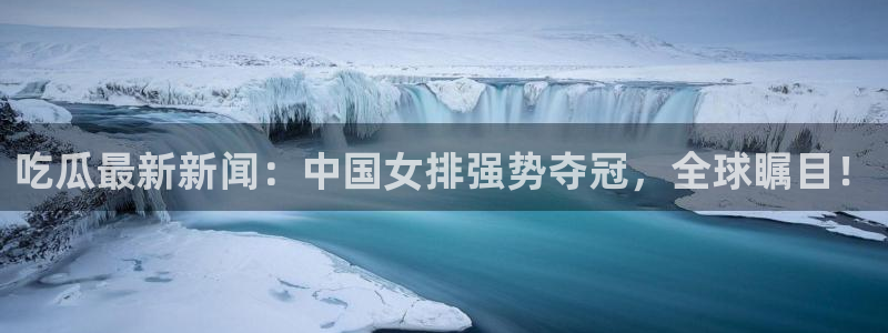 网红黑料后续进展