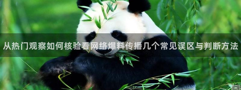 娱乐黑料事件始末