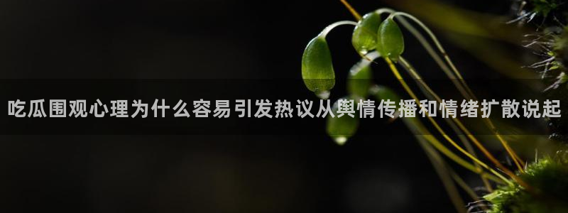 黑料事件证据梳理