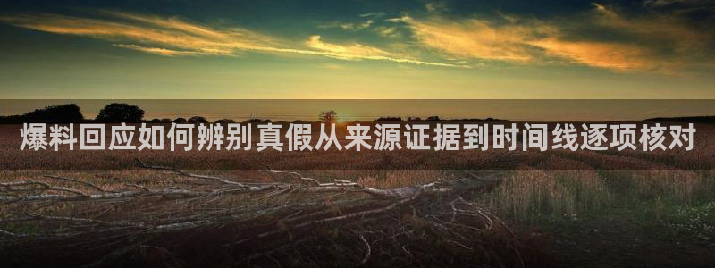 黑料揭秘证据梳理