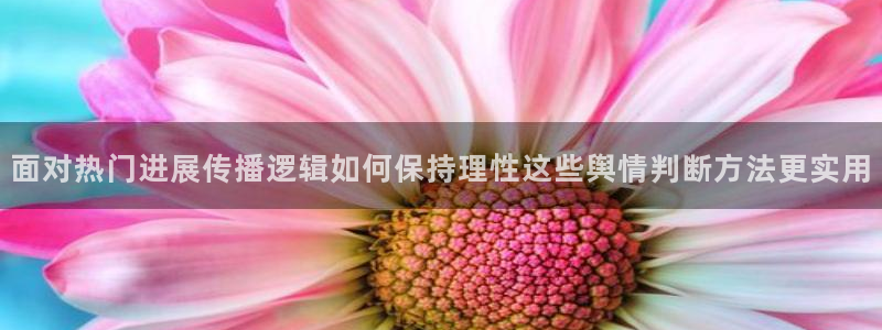 明星黑料事件始末