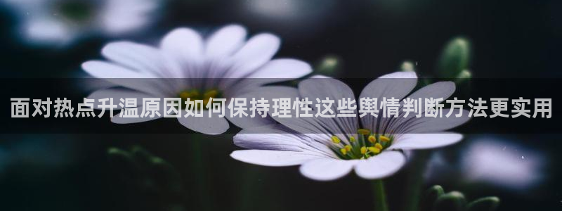 热门黑料信息汇总